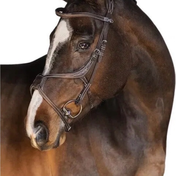 Accessories - EUC - PS of Sweden Athens Bridle + Barcelona Reins